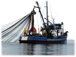 A vessel with a trawling net, courtesy of EDF.