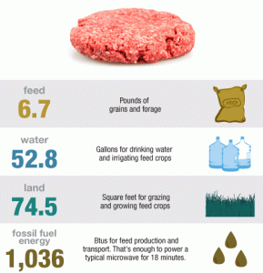 S3E8: We Meat Again: A Tragic Love Story of the American Appetite